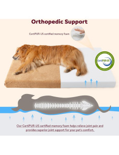 Cama ortopédica para perros medianos Tail&Tale - Espuma viscoelástica, forro impermeable, funda lavable 2