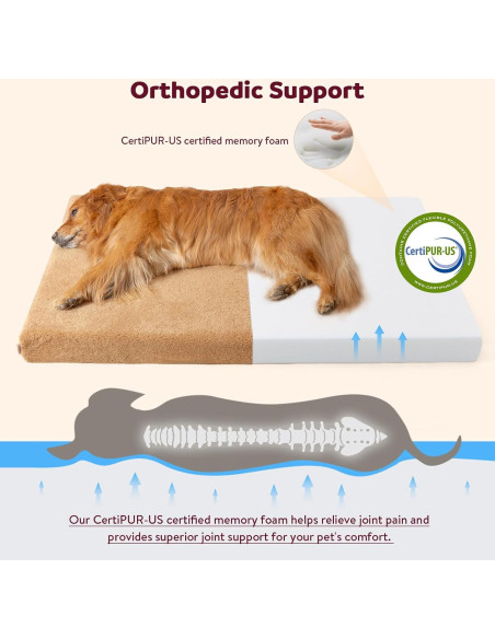 Cama ortopédica para perros medianos Tail&Tale - Espuma viscoelástica, forro impermeable, funda lavable