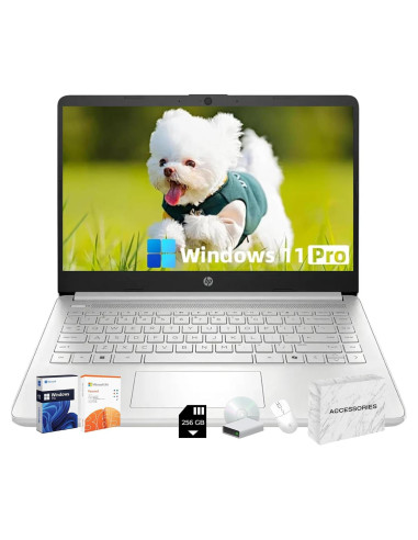 Laptop HP 14" Intel N150 16GB RAM 384GB Almacenamiento Plata