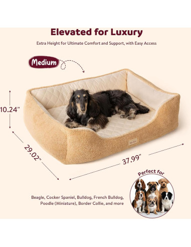 Cama ortopédica para perros medianos Tail&Tale - Espuma viscoelástica, forro impermeable, funda lavable