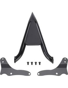 Respaldo de pasajero Sissy Bar FIASRAC para Yamaha XV 950 2