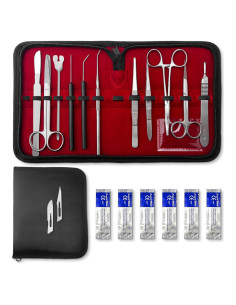 Kit de Disección DEXSUR - 11 Piezas Acero Inoxidable para Biología