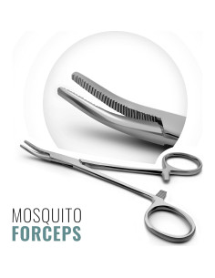 Kit de Disección DEXSUR - 11 Piezas Acero Inoxidable para Biología 2