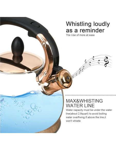Hervidor de Té LUXGRACE Acero Inoxidable 2.8 Litros Silbido