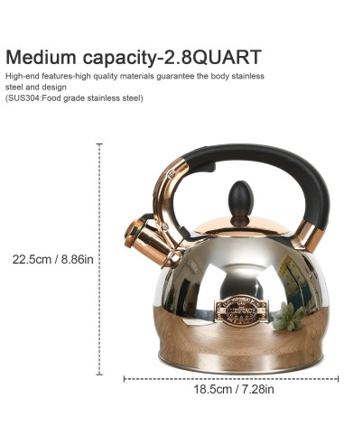 Hervidor de Té LUXGRACE Acero Inoxidable 2.8 Litros Silbido