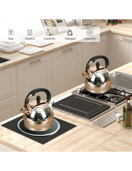 Hervidor de Té LUXGRACE Acero Inoxidable 2.8 Litros Silbido