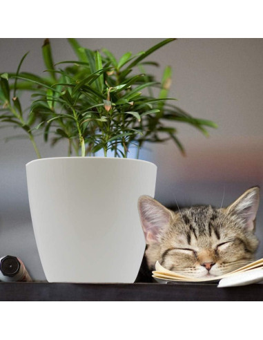 Maceta Autorriego SAND MINE Blanca Pack de 6 - 13 cm