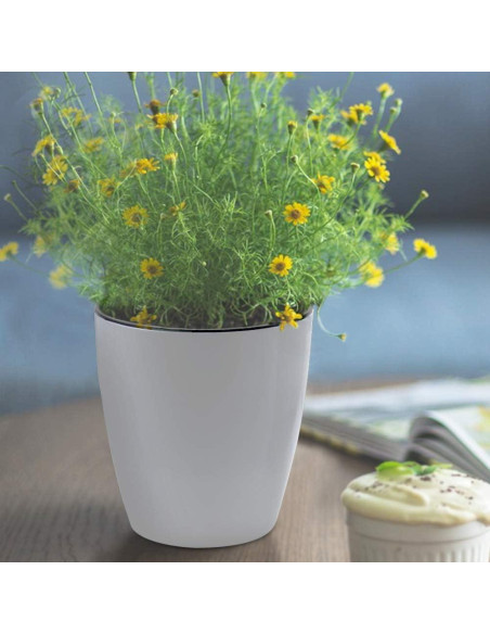 Maceta Autorriego SAND MINE Blanca Pack de 6 - 13 cm