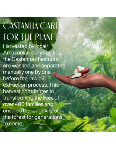 Set de Hidratación Vegano Crema de Manos y Pies Nuez Brasil 74g