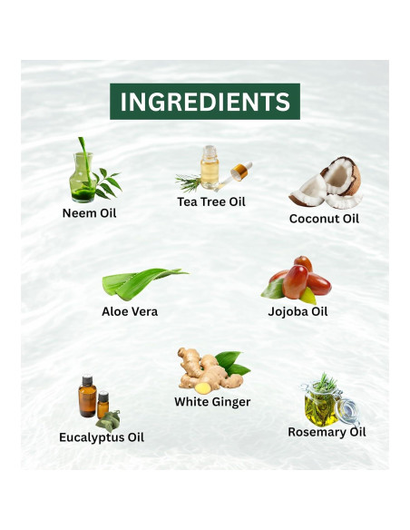 Jabón en Barra RX Body Care 113 g - Aceite de Árbol de Té Antifúngico