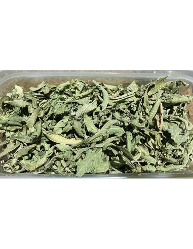 Hojas Secas de Verbena de Limón Directo de Francia 85 Gr