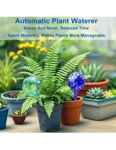 Juego de 6 Esferas de Autorriego de Vidrio TOTYAO - Riego Automático para Plantas 2