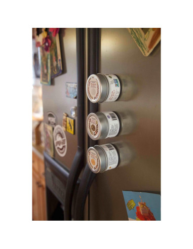 Set de Condimentos Gourmet Gustus Vitae | 4 Especias Naturales | Latas Magnéticas