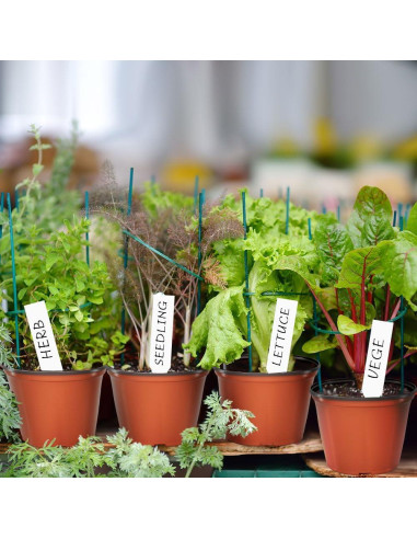 100 Macetas de Vivero 4" Bluckincle con Etiquetas y Drenaje