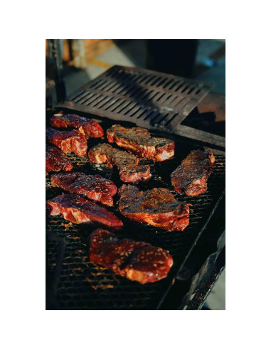 Set de Condimentos Gourmet Gustus Vitae | 4 Especias Naturales | Latas Magnéticas