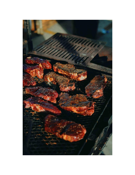 Set de Condimentos Gourmet Gustus Vitae | 4 Especias Naturales | Latas Magnéticas