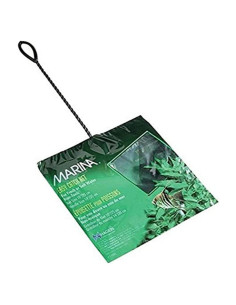 Red de Pesca Nylon Grueso Marina 25.4x17.8cm Mango 35.6cm