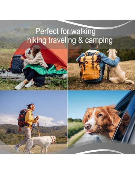 Cuencos Plegables para Perros IFOYO 2 en 1 Antideslizante Gris