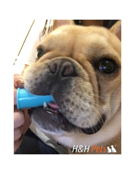 Cepillos de Dedo H&H Mascotas - 8 Unidades para Perros y Gatos