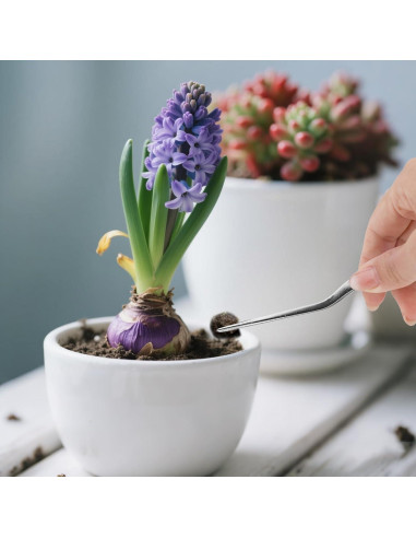 Juego de 3 Pinzas de Acero Inoxidable Tinoaly 16cm para Jardinería