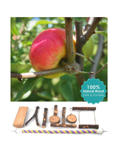 Posaderos de Madera Natural para Aves DBNESS - 8 Piezas