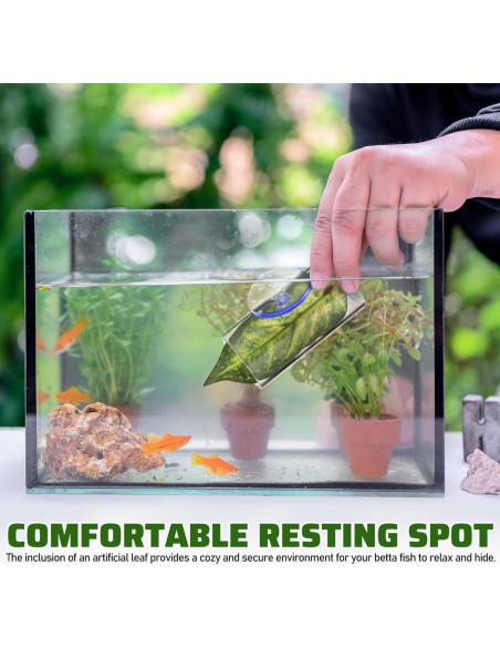 Escondite para Peces Betta Kisangel con Hoja y Ventosa 8x4cm