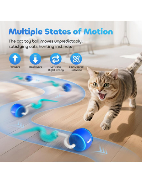 Bola de Juguete Interactiva para Gatos DDXCOO, Recargable USB