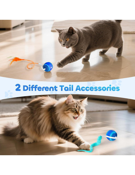 Bola de Juguete Interactiva para Gatos DDXCOO, Recargable USB