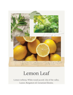 Spray Limpiador de Encimera Thymes Hoja de Limón 489 ml 2