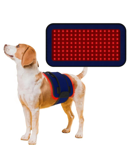 Cinturón de Terapia de Luz Infrarroja PUPCA BD-Belt 22.86cm