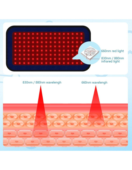 Cinturón de Terapia de Luz Infrarroja PUPCA BD-Belt 22.86cm