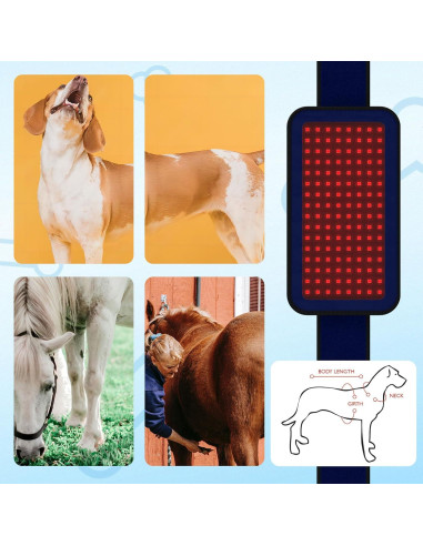 Cinturón de Terapia de Luz Infrarroja PUPCA BD-Belt 22.86cm