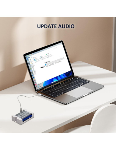 Módulo de Reproducción de Voz 80W JRGKJCP CH358D USB