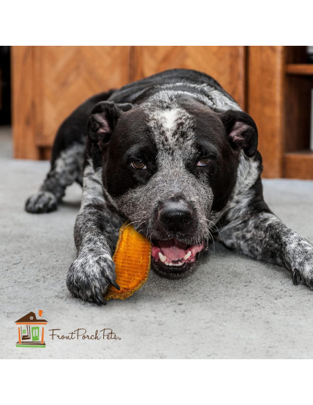 Golosinas para Perros Sam's Yams Big Boyz 425g - Batata Natural