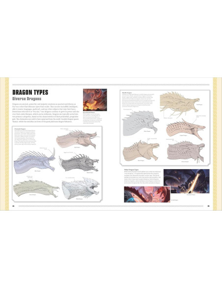 Dungeons and Dragons The Book of Dragons (DK Dungeons & Dragons)