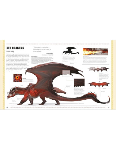 Dungeons and Dragons The Book of Dragons (DK Dungeons & Dragons)