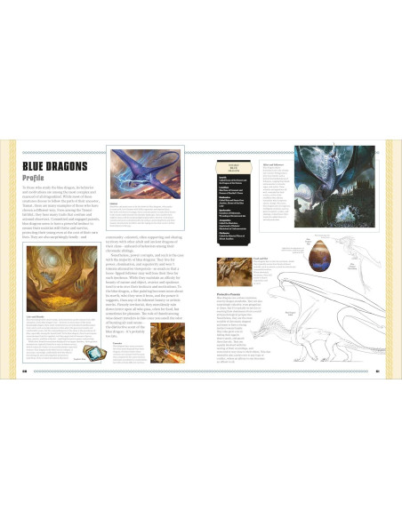 Dungeons and Dragons The Book of Dragons (DK Dungeons & Dragons)