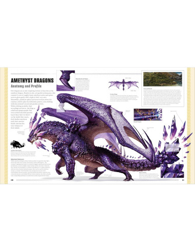 Dungeons and Dragons The Book of Dragons (DK Dungeons & Dragons)