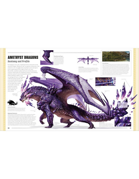 Dungeons and Dragons The Book of Dragons (DK Dungeons & Dragons)