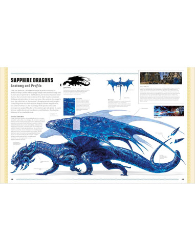 Dungeons and Dragons The Book of Dragons (DK Dungeons & Dragons)