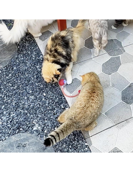 Juguete Interactivo para Gatos GooCare Bola de Cola Rápida 3.0