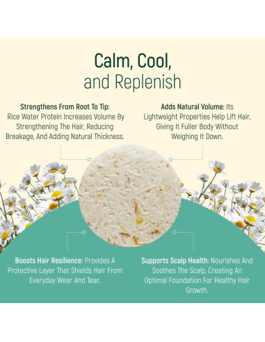 Champú Sólido Orgánico BAMBOEARTH Manzanilla 68g Ecológico