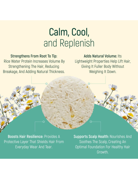 Champú Sólido Orgánico BAMBOEARTH Manzanilla 68g Ecológico