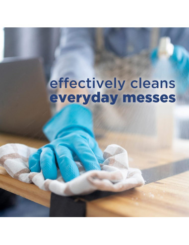 Limpiador Multisuperficie Windex Dissolve - Kit Inicio 768ml