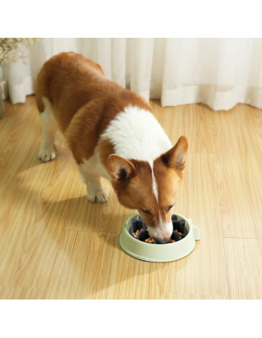 Inserto Alimentador Lento Silicona Animire S Negro 8.9cm