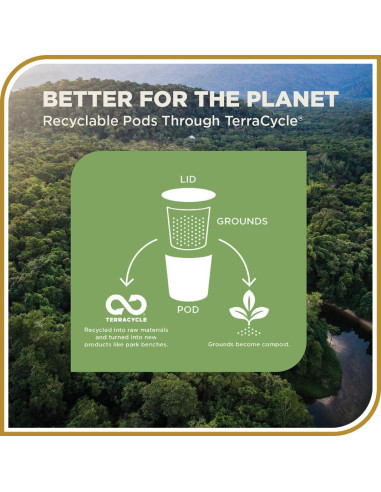 Café Mezcla de Desayuno Don Francisco - 12 Cápsulas K-Cup 100% Arábica