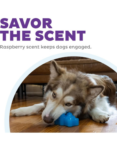 Juguete Masticable para Perros Outward Hound Gummiez Bear 2-en-1