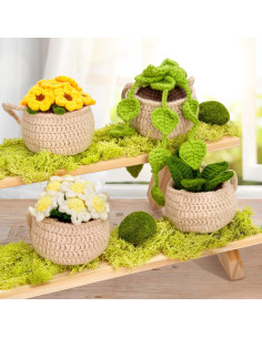 Kit de Crochet Karsspor para Principiantes - 4 Plantas Colgantes 2