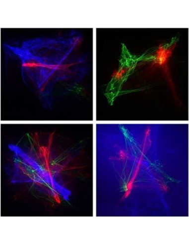 Proyector de Luz LED RGB Sharelife SL-A200RGB con Control Remoto