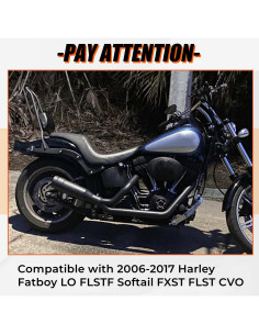 Sissy Bar Desmontable ECOTRIC con Cojín Negro para Harley 2